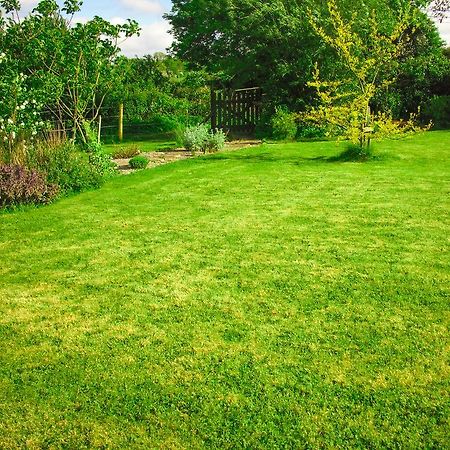 The Well Meadow B&B Nenagh Dış mekan fotoğraf