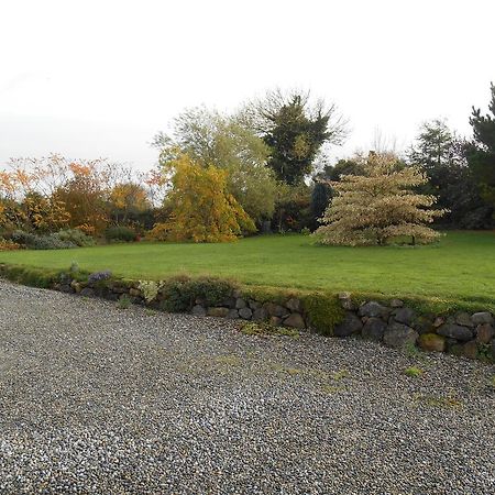 The Well Meadow B&B Nenagh Dış mekan fotoğraf