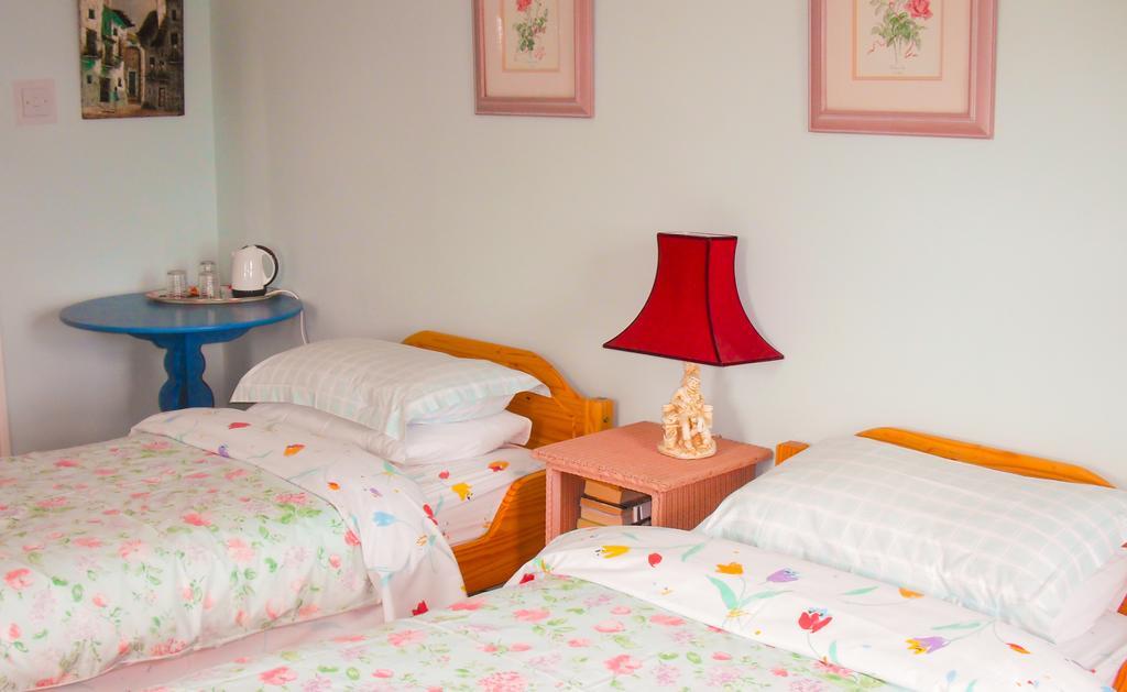 The Well Meadow B&B Nenagh Oda fotoğraf