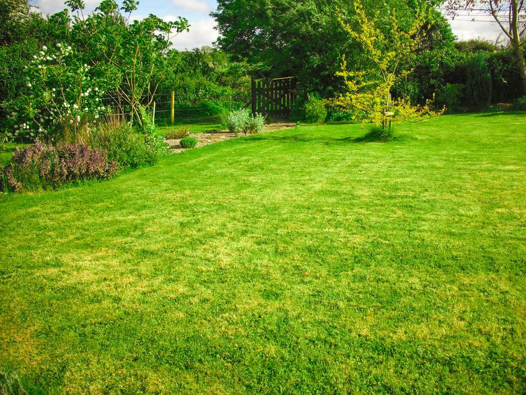 The Well Meadow B&B Nenagh Dış mekan fotoğraf