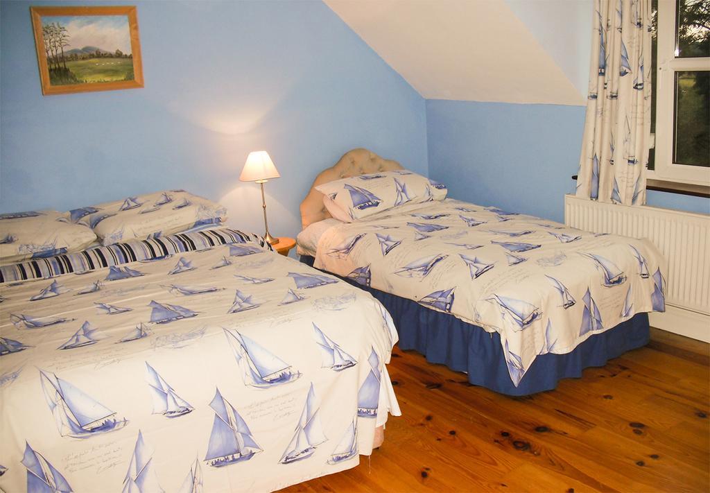 The Well Meadow B&B Nenagh Oda fotoğraf