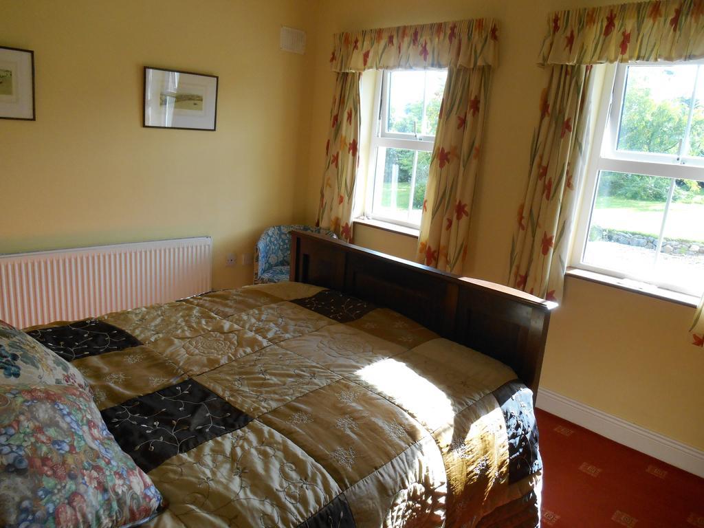 The Well Meadow B&B Nenagh Oda fotoğraf