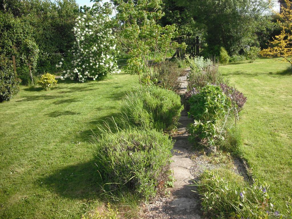 The Well Meadow B&B Nenagh Oda fotoğraf