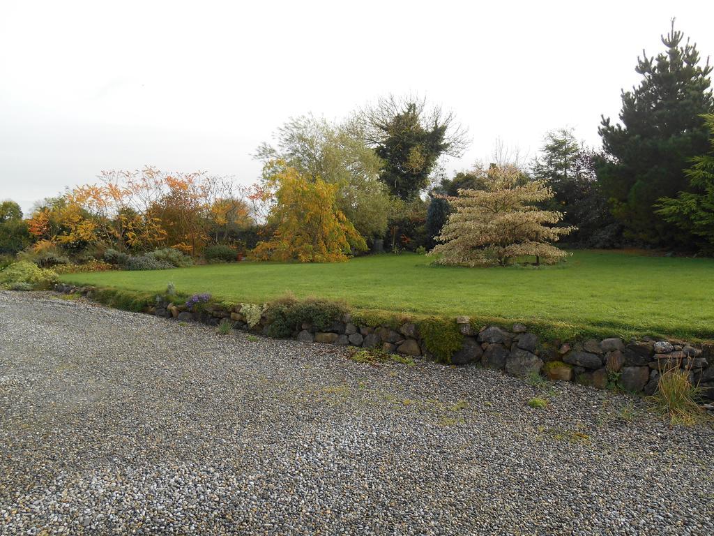 The Well Meadow B&B Nenagh Dış mekan fotoğraf